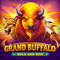 Grand Buffalo Hold and Win